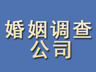 舞阳婚姻调查公司